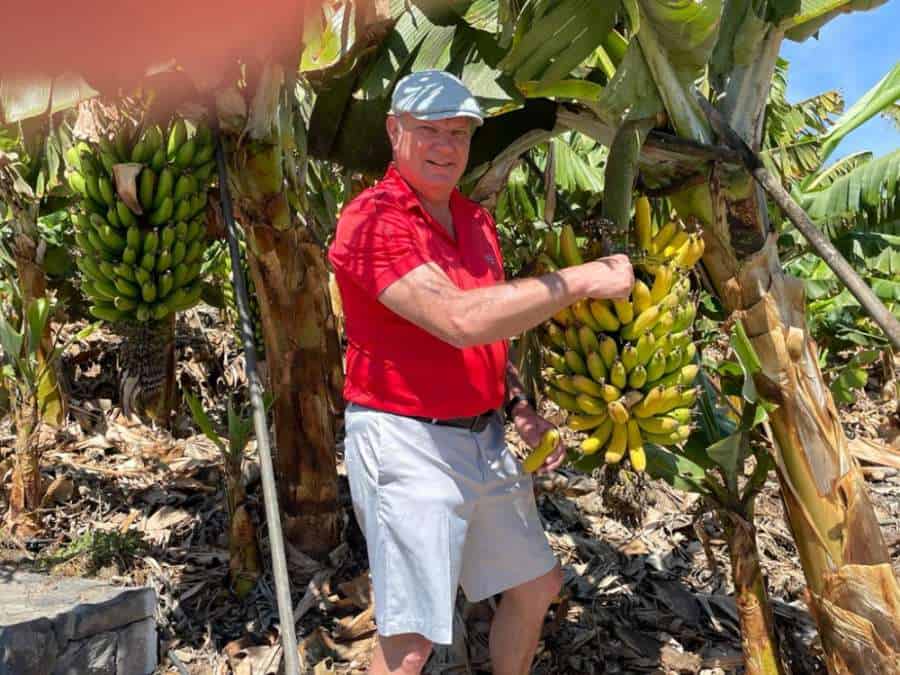 Bananenplantagen golfplatz tecina Golf